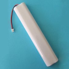 DL-18 Alkaline Door Lock Battery