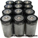 C Alkaline Batteries - 12 Pack