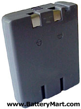 Panasonic P-P543, Type 43 Replacement Battery