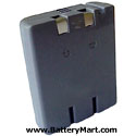 Panasonic P-P543, Type 43 Replacement Battery