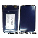Panasonic Blue EB-TX210 Replacement Battery