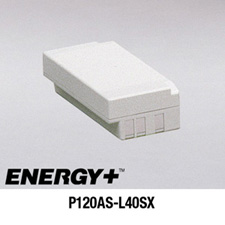 IBM PS/2 Model L40SX NiCd Replacement Battery