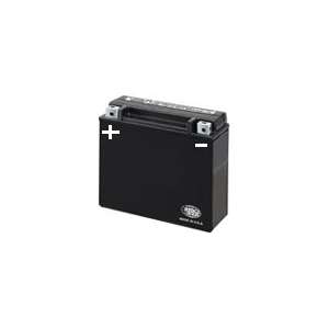 YT14B-4 AGM Maintenance Free Battery