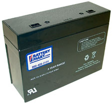 12 Volt 21 Watt Sealed Lead Acid Battery