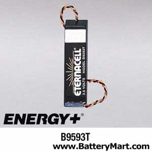 Lithium Battery for Clock Memory Support