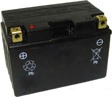 YT12A-BS AGM Maintenance Free Battery