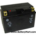 YT12A-BS AGM Maintenance Free Battery