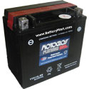 YTX14L-BS AGM Maintenance Free Battery