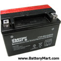 YTX9-BS AGM Maintenance Free Battery