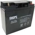 12 Volt 22 Ah Sealed Lead Acid Battery