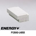 IBM PS/2 Model L40SX NiCd Replacement Battery