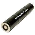 Stinger Flashlight Battery