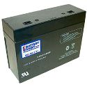 12 Volt 21 Watt Sealed Lead Acid Battery