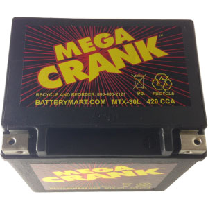 MTX-30L AGM Maintenance Free Battery