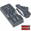 Tenergy TN270 2-Channel 18650/18500/14500 Battery Charger with 2x 18650 Batteries
