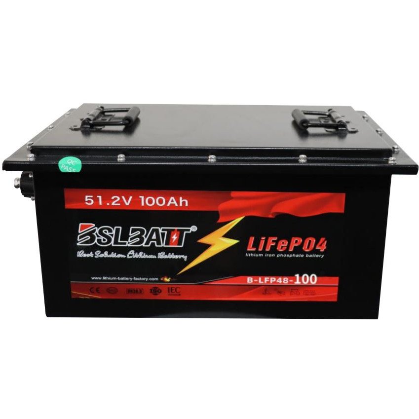 48 Volt, 100 Ah Lithium Iron (LiFePO4) Rechargeable Battery Battery Mart