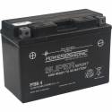 YT9B-4 AGM Maintenance Free Battery