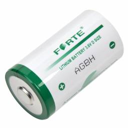 D Size Lithium Cell for Industrial Applications