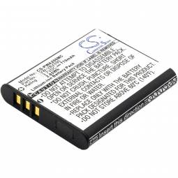 Replacement Panasonic VW-VBX090 Camera Battery (3.7 Volt, 770 mAh, Li-Ion)