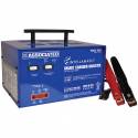 Associated 9425 Intellamatic 12V Battery Charger, Analyzer & Power Supply