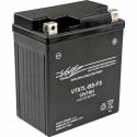 YTX7L-BS AGM Maintenance Free Battery