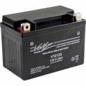 YTZ12-S AGM Maintenance Free Battery