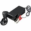 Soneil 24 Volt 4 Amp Battery Charger with Clamps
