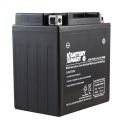 YB10L-A2 AGM Maintenance Free Battery