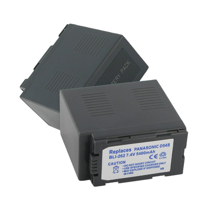 Replacement Panasonic CGA-D54 Camera Battery | Battery Mart