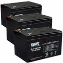 [3 Pack] 12 Volt 14 Ah Sealed Lead Acid Rechargeable Battery - F2 Terminal