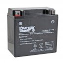 YTX14-BS AGM Maintenance-Free Powersports Battery &mdash; 12V, 12Ah, 200 CCA