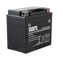 YTX5L-BS AGM Maintenance Free Battery