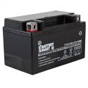 YTX7A-BS AGM Maintenance Free Battery