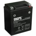 YTX7L-BS AGM Maintenance Free Battery