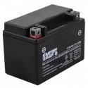 YTX9-BS AGM Maintenance Free Battery