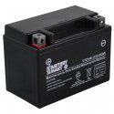 YTZ14S-BS AGM Maintenance Free Battery